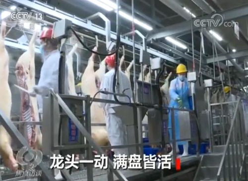 如何讓產(chǎn)業(yè)鏈 滿血復(fù)活 他們這樣做