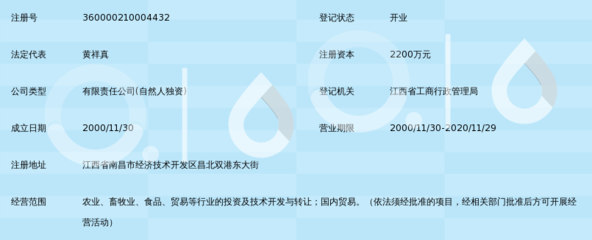 江西宏通人投資集團