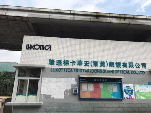 即刻開拍 壓軸 業內唯一正貨 雷 朋rb4246系列光學記憶鏡架 80周年首席設計師最新力作 限量發行,陸遜迪卡華宏公司渠道貨