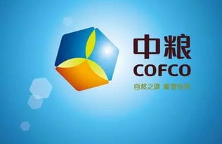 厲害了 猛砸1217億,20個央企落戶天津,未來這幾個區(qū)要逆天了,有你家么 其它 網(wǎng)